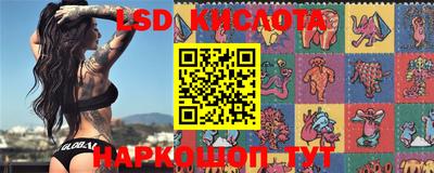 a pvp Краснодар
