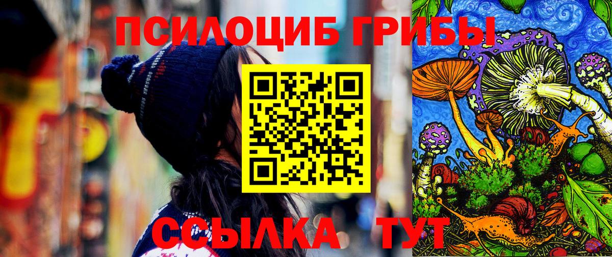 Крымск  Псилоцибиновые грибы MAGIC MUSHROOMS  как найти   Вход с VPN 
